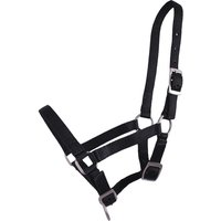 Halfter für Fohlen Q-essentials Halfter für Fohlen Q-essentials