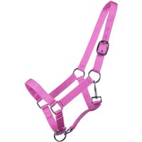 Halfter für Fohlen Q-essentials Yearling Halfter für Fohlen Q-essentials Yearling