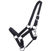 Halfter für Fohlen Q-essentials Yearling Halfter für Fohlen Q-essentials Yearling