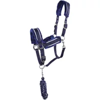 Set aus gefüttertem Halfter und Longiergurt QHP Dolci Set aus gefüttertem Halfter und Longiergurt QHP Dolci