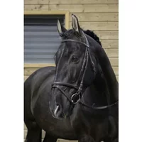 Zaumzeug Reiten Riding World Muserolle Zaumzeug Reiten Riding World Muserolle