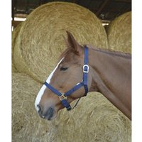 Halfter Riding World Halfter Riding World