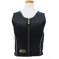 Reitschutzweste Rückenschutz Sir Lancelot 3X Reitschutzweste Rückenschutz Sir Lancelot 3X