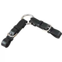 Gebissriemen T de T Gebissriemen T de T