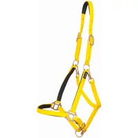 Halfter T de T Biotack® Halfter T de T Biotack®