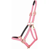 Halfter T de T Biotack® Halfter T de T Biotack®