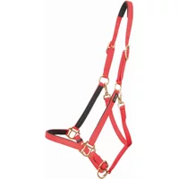 Halfter T de T Biotack® Halfter T de T Biotack®