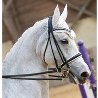 Gebissloser Zaum T de T Ribera Gebissloser Zaum T de T Ribera