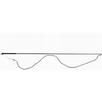 Chambrière Reiten T de T Chambrière Reiten T de T