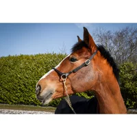 Halfter aus Leder T de T Halfter aus Leder T de T