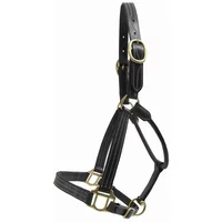 Halfter aus Leder T de T Halfter aus Leder T de T