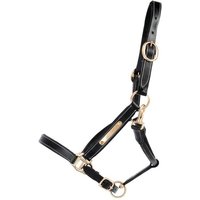 Lederhalfter für Pferde mit Platte T de T Lederhalfter für Pferde mit Platte T de T