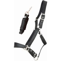 Satiniertes, unterlegtes Pferdehalfter mit Longe T de T Satiniertes, unterlegtes Pferdehalfter mit Longe T de T