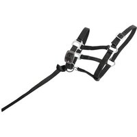 Fohlenhalfter T de T Fohlenhalfter T de T