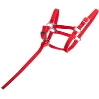 Fohlenhalfter T de T Fohlenhalfter T de T