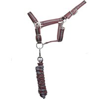 Doppeltes Pferdehalfter + Longe T de T Doppeltes Pferdehalfter + Longe T de T