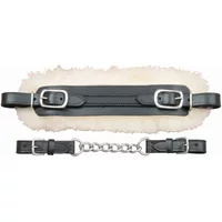 Reithalfter Pferd von hackamore T de T Reithalfter Pferd von hackamore T de T