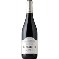 Bodegas Barbadillo Barbadillo Tinto, Vino de Tierra de Cadiz, Andalusien, 2023, Rotwein