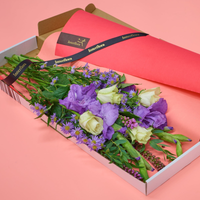 September in Bloom Letterbox Flowers | September Birthday Gift | Aster & Gladioli Mix | Delivered Through Letterbox | Fresh & Fragrant Arrangement