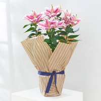 Oriental Lily at Interflora Flowers Oriental Lily.