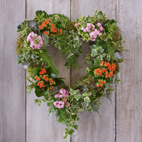 Living Plant Wreath at Interflora Flowers Living Plant Wreath.