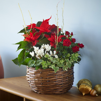 Luxury Christmas Basket at Interflora Flowers Luxury Christmas Basket.