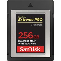SanDisk SDCFE-256G-GN4NN memory card