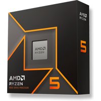 AMD Ryzen 5 9600X processor