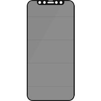 PanzerGlass E2E iPhone 12/12 Pro, CF, Privacy Antibakt.