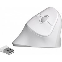 DeLOCK 12596 mouse