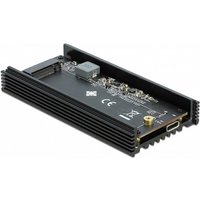 DeLOCK 42000 storage drive enclosure