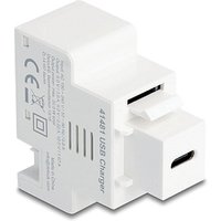 DeLOCK 41481 keystone module