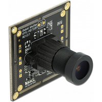 DeLOCK 96397 hidden camera