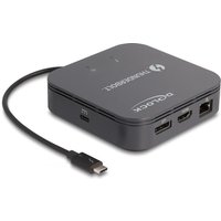 DeLOCK 87789 laptop dock/port replicator