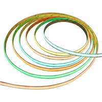 Synergy 21 LED Flex Strip COB - RGB-W pixel DC24V WS2814F IP67 2m