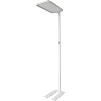 Synergy 21 LED office line Stehlampe weiss, dimmbar
