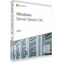 Microsoft WINSVR CAL 2025 10Device