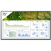 Sony FW-75BZ30L Signage Display