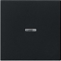 GIRA System 55