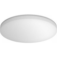 STEINEL RS PRO R20 basic SC ceiling lighting
