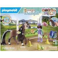 Playmobil 71355 toy playset