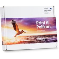 Pelikan PromoPack P53 ink cartridge