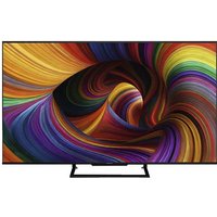 PAN TN-55W90CEZS sw LED-TV UHD 4K HDR Mini LED Multituner Google TV PVR