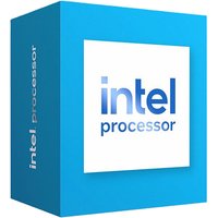 Intel 300 processor