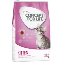 CONCEPT FOR LIFE Kitten En Sauce