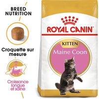 ROYAL CANIN Kitten Maine Coon