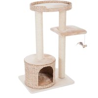 Arbre A Chat Griffoir Pour Les Chatss Animaux Perdus Animaux Perdus Arbre A Chat Griffoir Pour Les Chatss Animaux Perdus Animaux Perdus