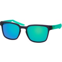 Nike NIKE LIVEFREE ICONIC EV24012 011