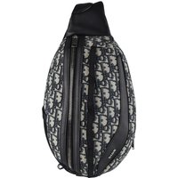 Dior Scarab Bag