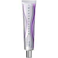 Chantecaille - JUST SKIN TINTED MOISTURIZER SPF 15 - Teint mit SPF (2057 EUR/kg) Chantecaille - JUST SKIN TINTED MOISTURIZER SPF 15 - Teint mit SPF (2057 EUR/kg)
